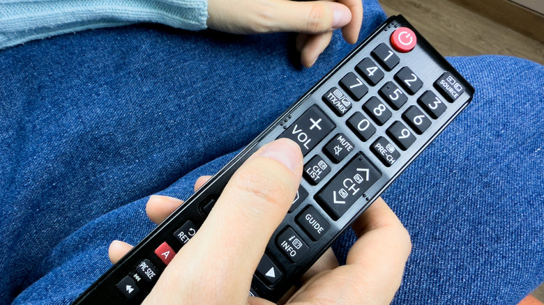 A person holding a TV remote.