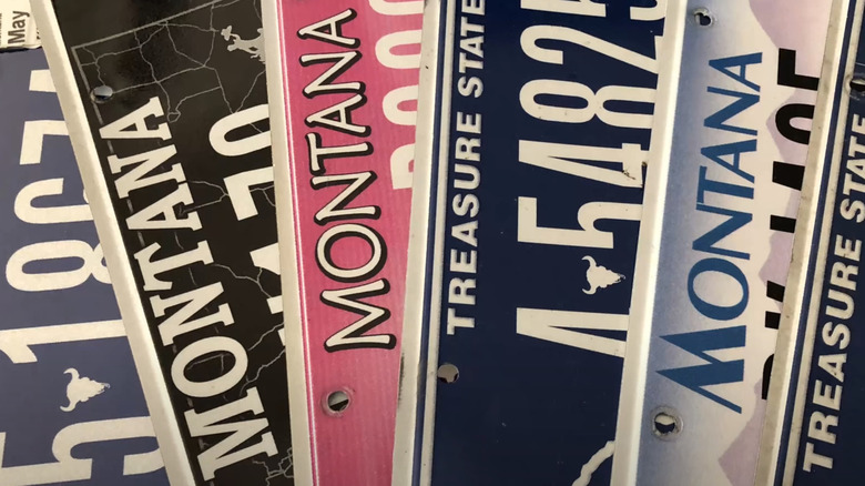 Array of older Montana license plates fanned out for display