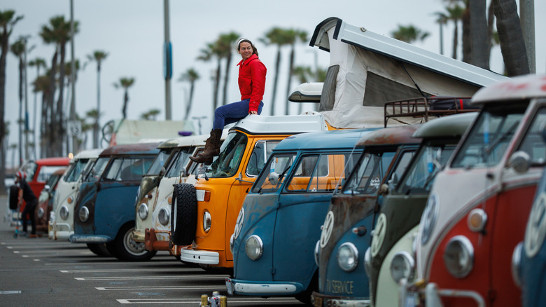VW buses at International VW Bus Day event