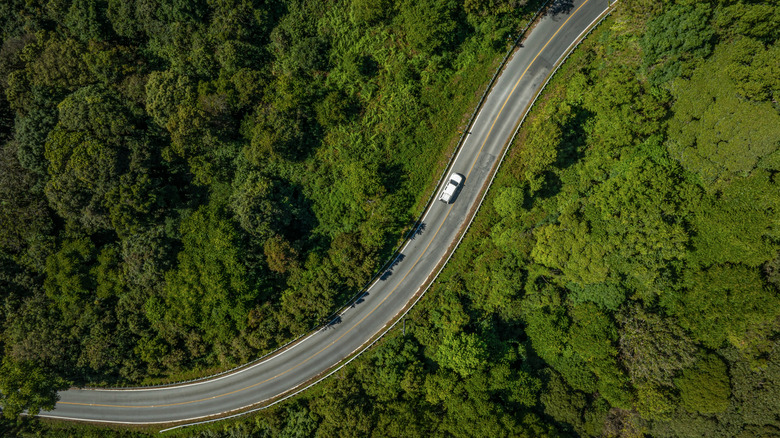 Car coasting on forest highway
