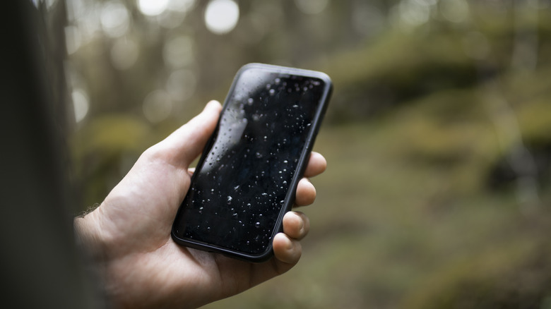 A person holding a wet iPhone