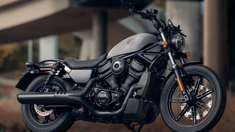 A grey 2025 Harley-Davidson Nightster