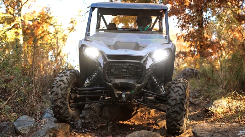 Person driving Polaris RZR in the wilderness