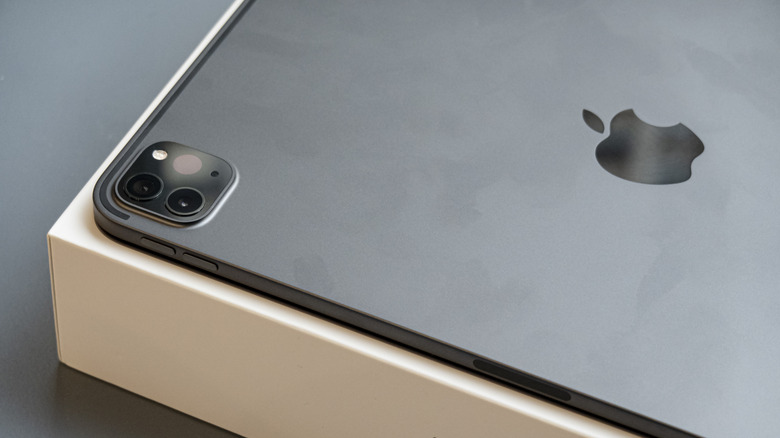 Picture displaying camera display on iPad Pro
