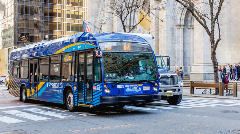 nyc bus
