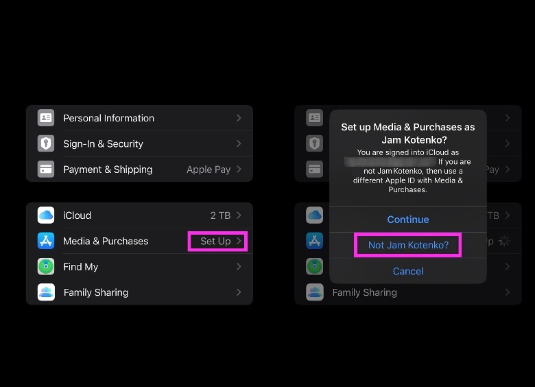 iphone apple id sign in menu