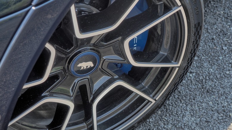 Wheel and brake detail