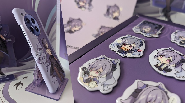 case and accessories