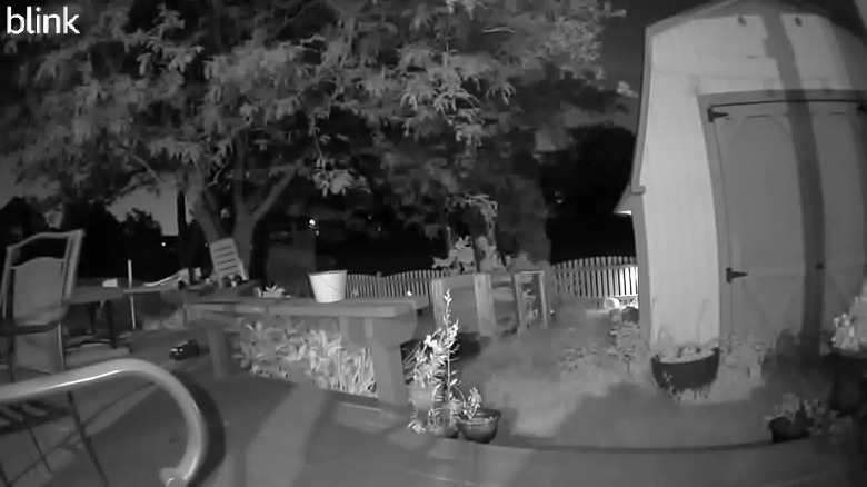 Blink Outdoor 4 nighttime sample