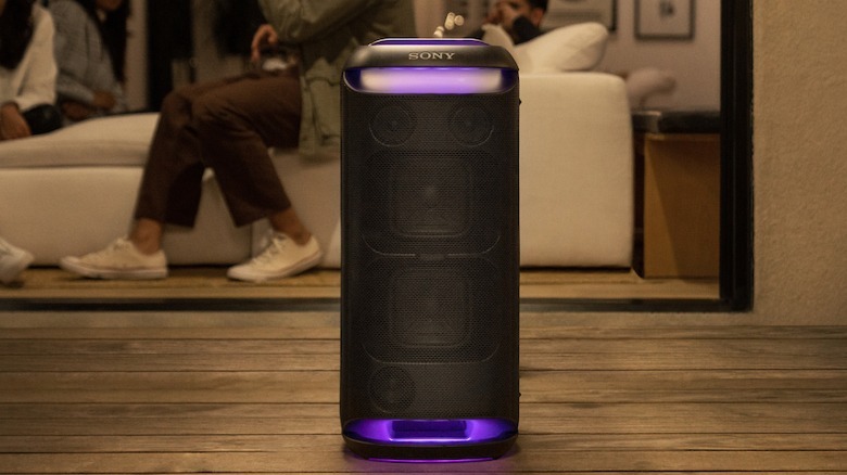 XV800 speaker upright living room