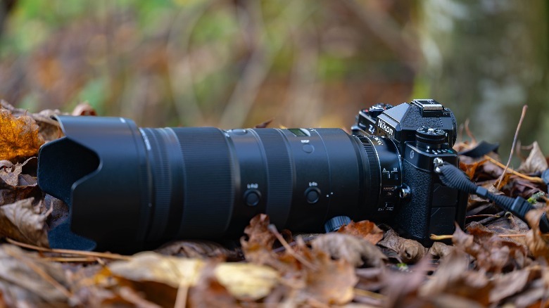 camera with large lens in leaves