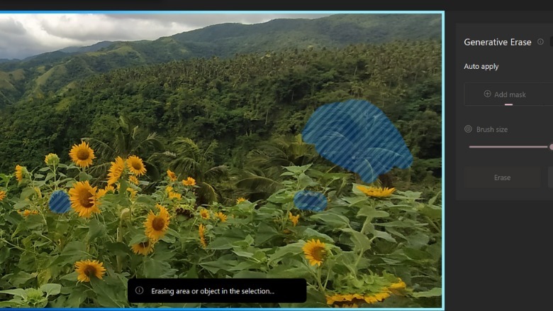 erasing multiple objects