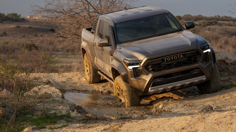 Tacoma off-road