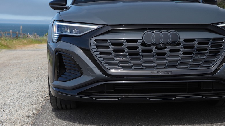 Q8 e-tron Sportback grille