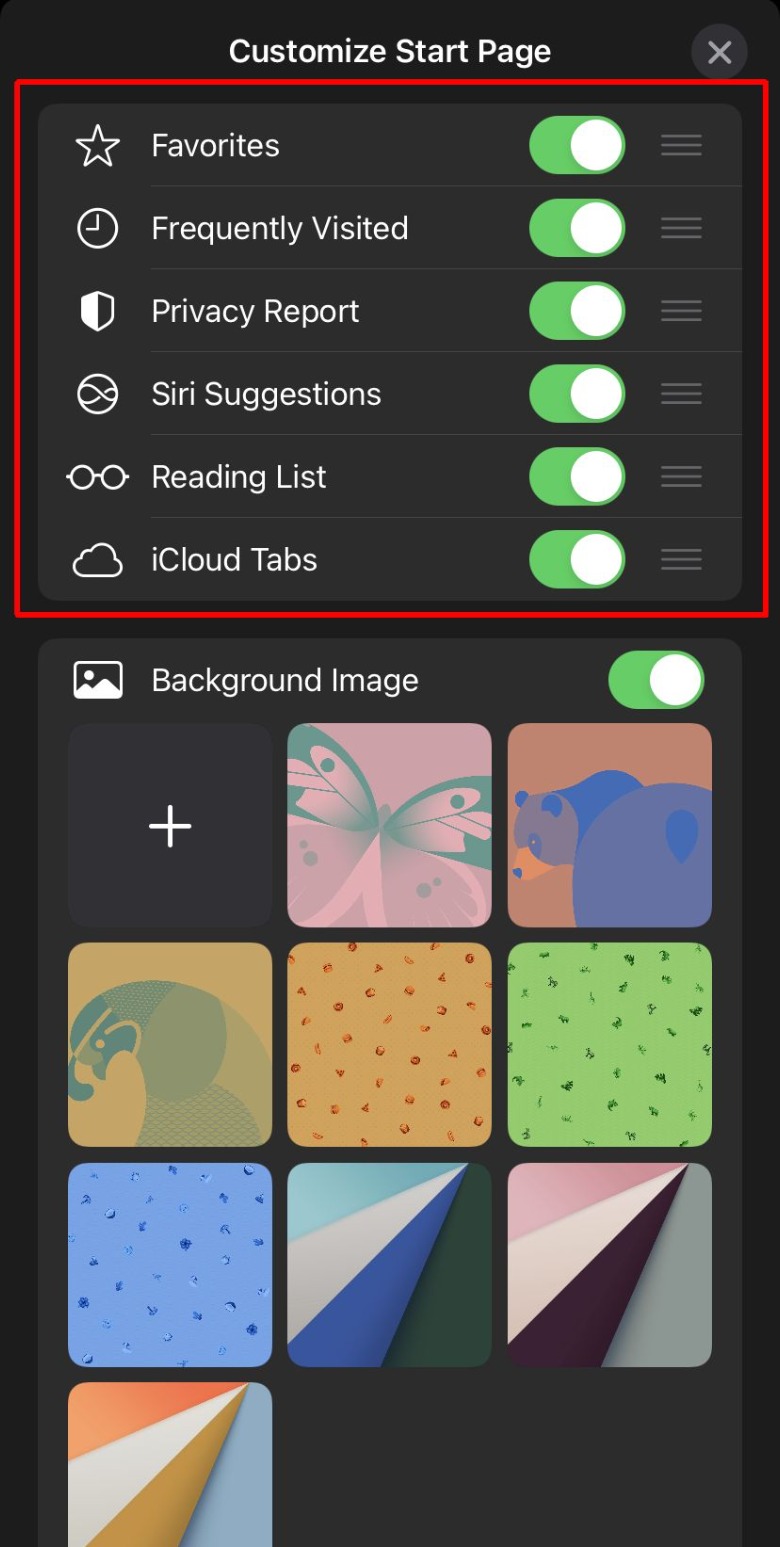 Safari customize screen