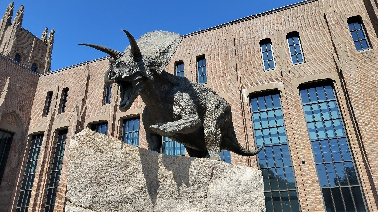 A photo of a dinosaur standing on a rock.