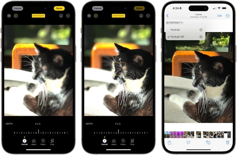 iPhone 15 Pro Max post-capture Portrait mode