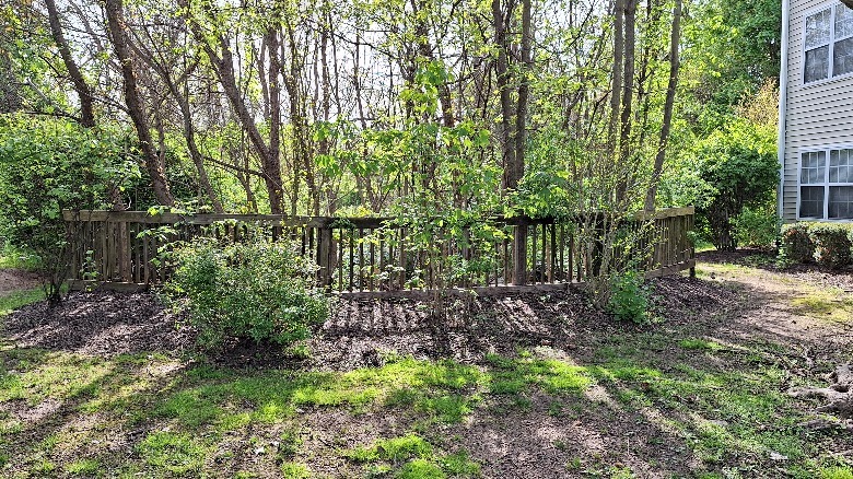 Picture of foliage and wooden fence