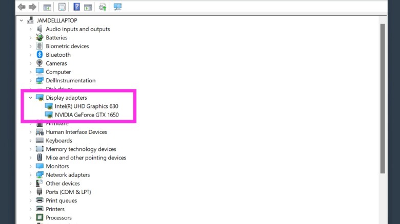 Windows device manager tool showing display adapters list