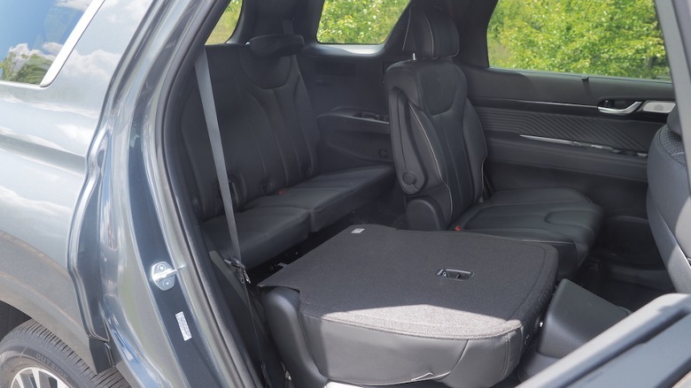 Palisade 2nd/3rd rows