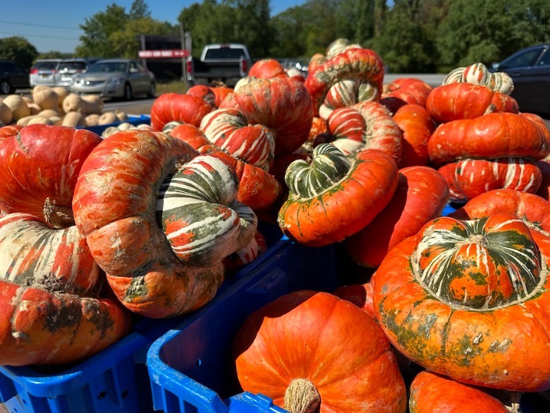 iPhone 14 Pro Max camera sample