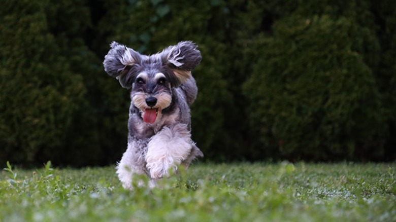 Image taken with Canon M50 II