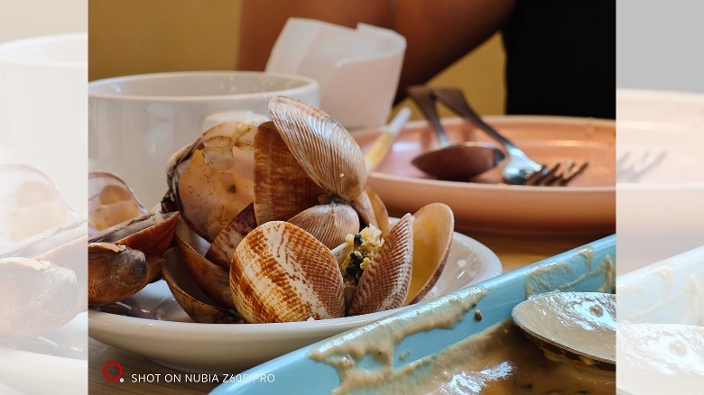 nubia Z60S Pro photos