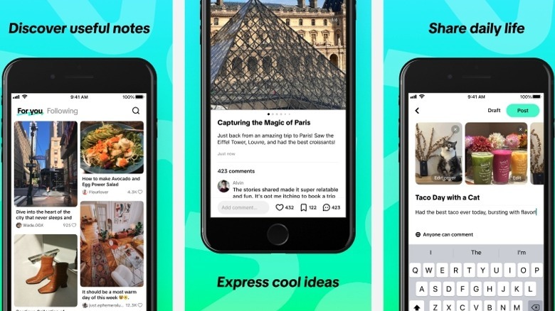 Screenshots of TikTok Notes app