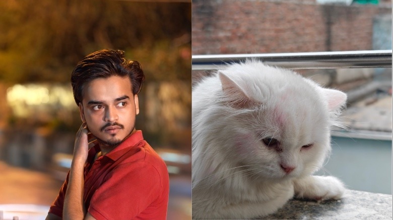 Oppo Find X8 Ultra camera sample.