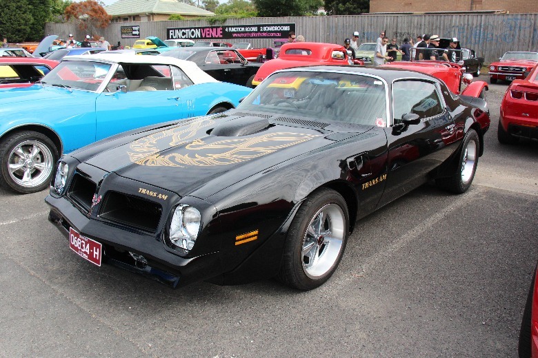 Black and gold 1976 Pontiac Firebird Trans Am on display