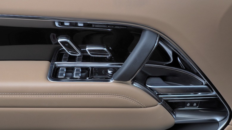 Door trim and controls