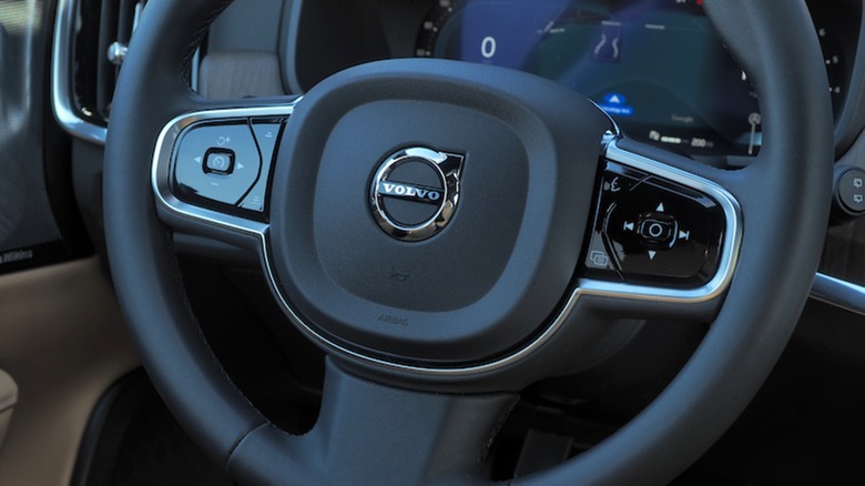 Steering wheel detail