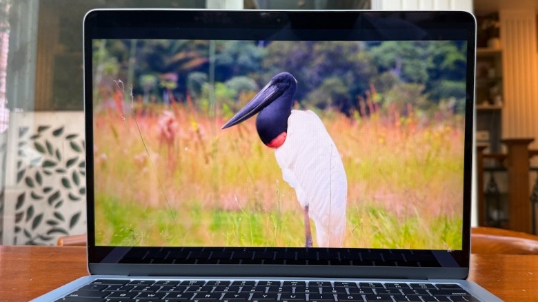 Watching video on MacBook Air.