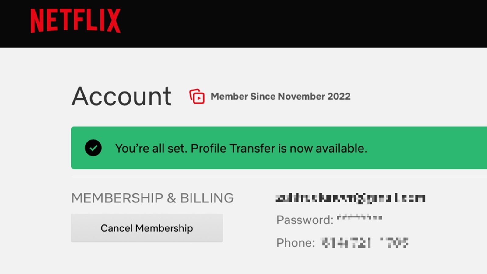 Netflix account settings screenshot
