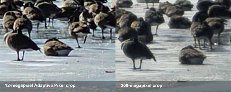 Galaxy S23 Ultra crop comparison