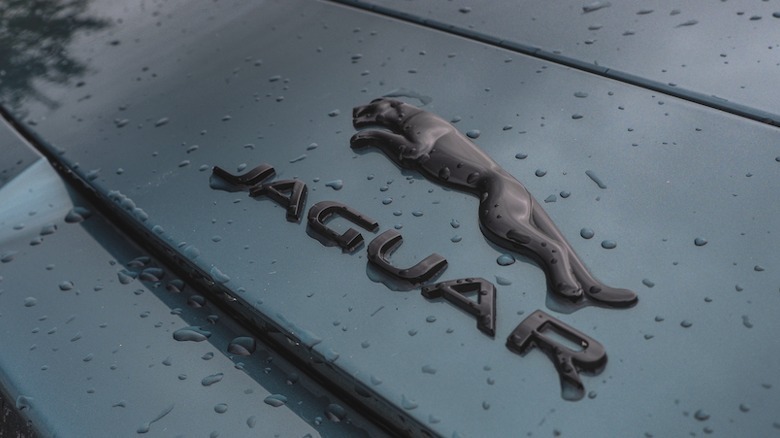 Jaguar logo