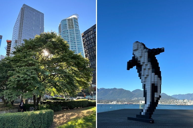 iPhone 14 Pro Max camera sample