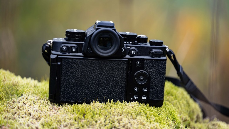 camera on moss