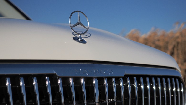 Maybach grille