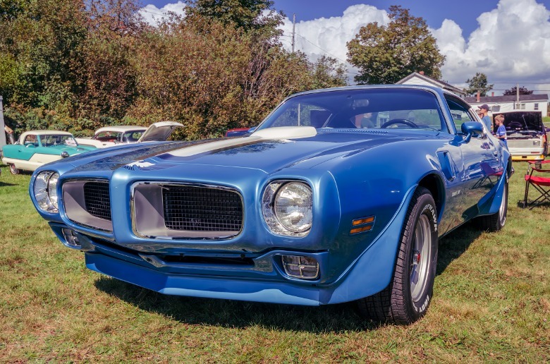 Blue Pontiac Firebird Trans Am parked on grass