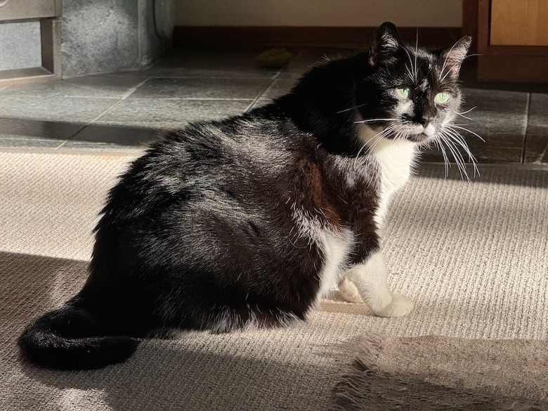 iPhone 15 Pro Max camera sample