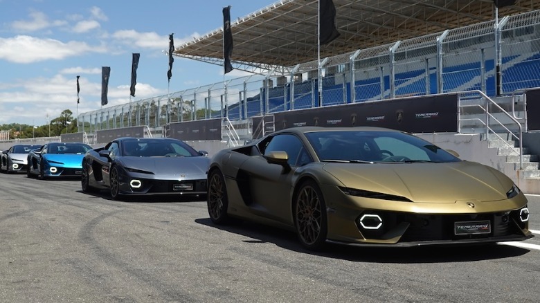 Row of Temerario in pit