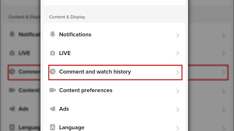 tiktok comment and watch history