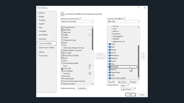 Windows Word options window