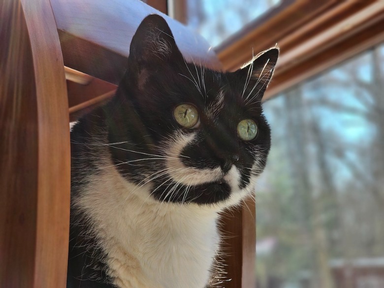 Galaxy S23 Ultra camera sample