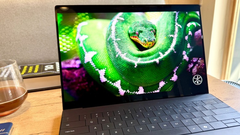 Watching videos on the Dell XPS 13 laptop's 3K screen.