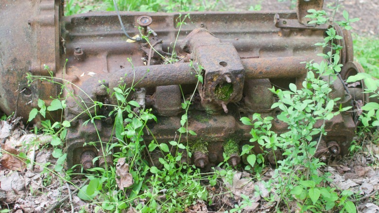 Old chevy engine woods