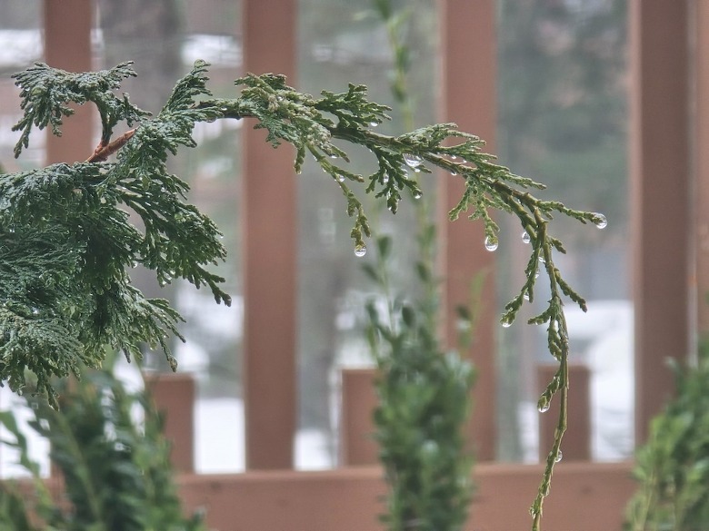 S24 Ultra camera sample