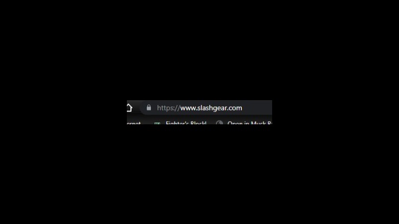 Secure website credentials