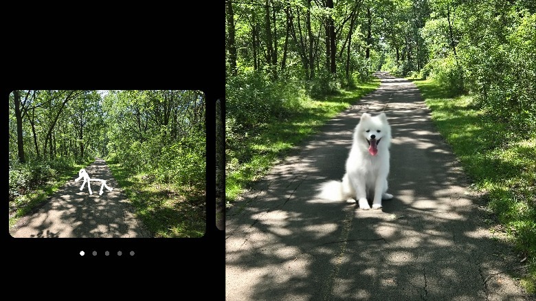 Ai-Generated Dog